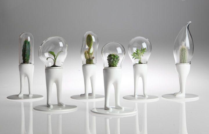 Decoracion_3