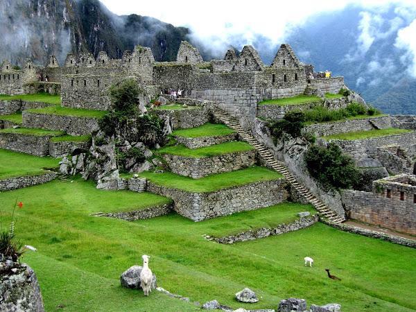 Viaje a Machu Picchu