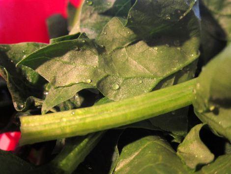 tortilla-de-espinacas-y-setas-