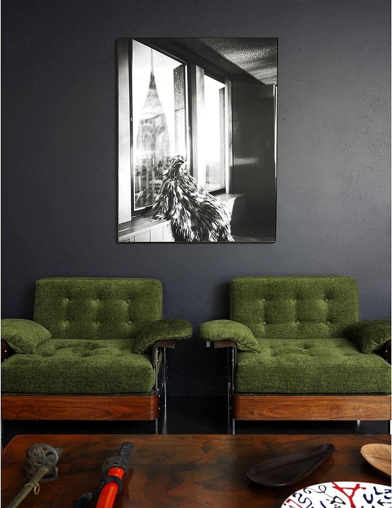 René_Fernandes_Filho_20