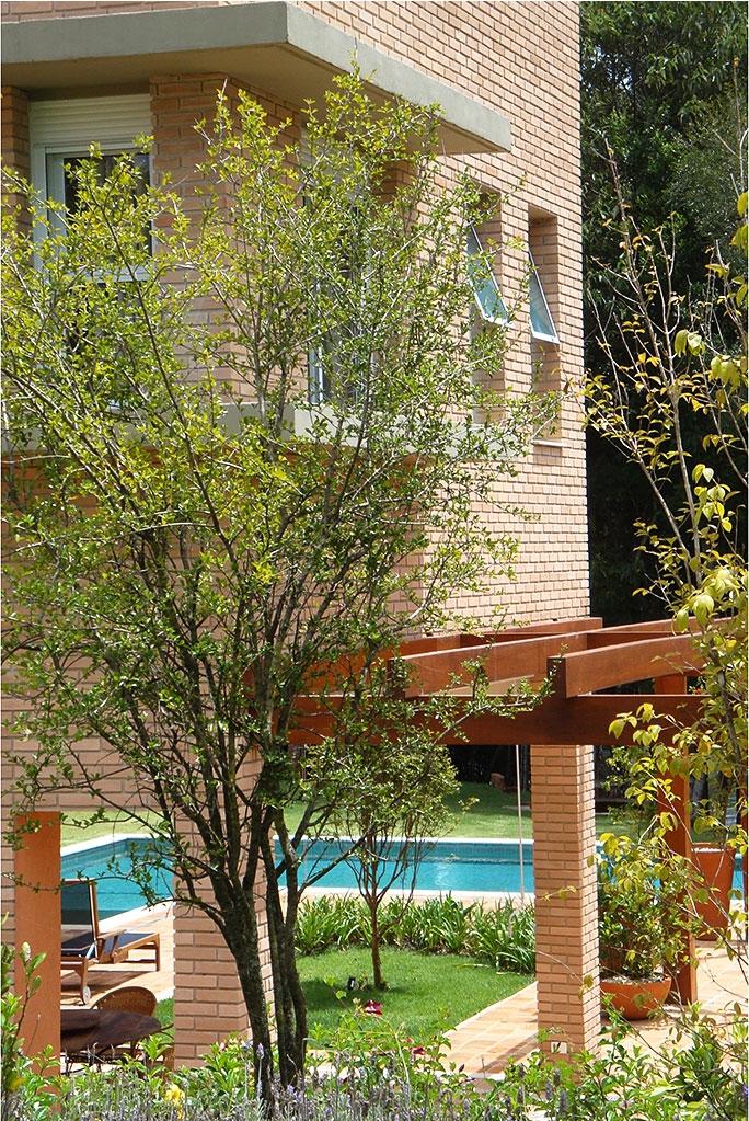 René_Fernandes_Filho_27