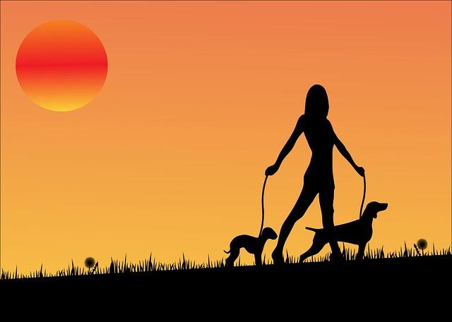 sunset-163479_640