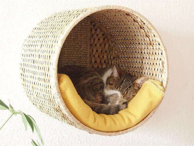 Pets_12