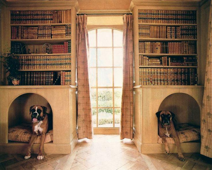 Pets_16