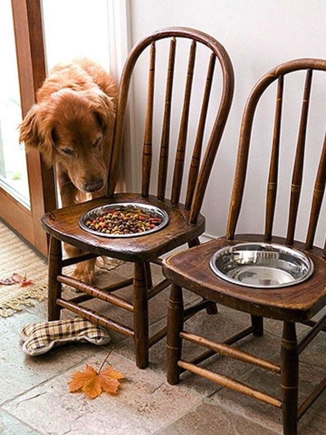 Pets_18