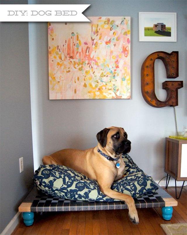 Pets_20