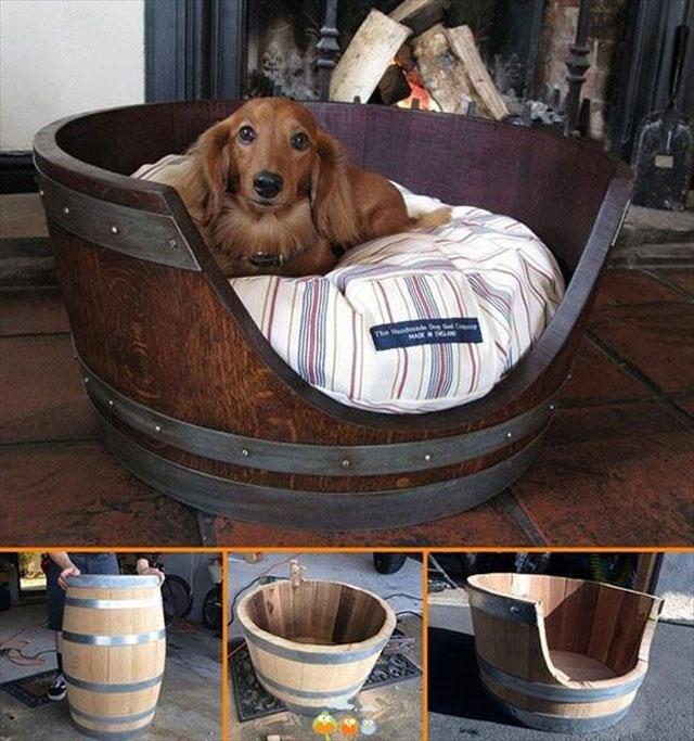 Pets_22