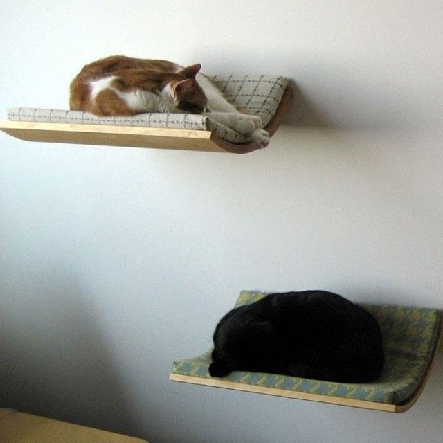 Pets_24