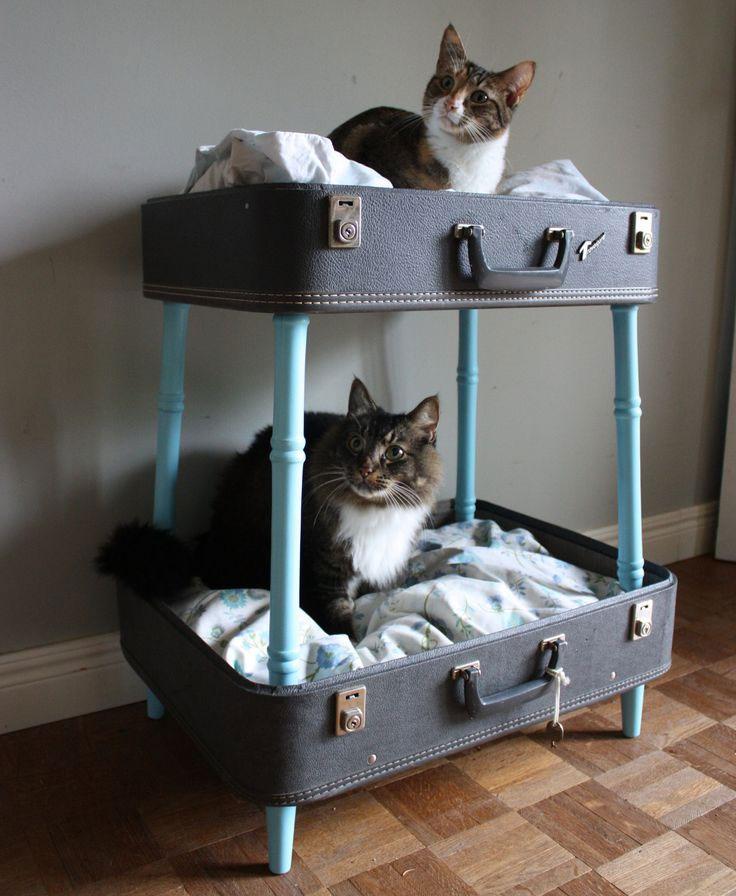 Pets_26