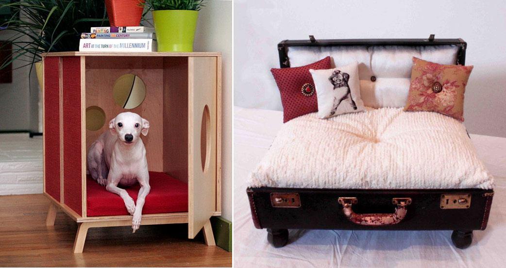 Pets_28