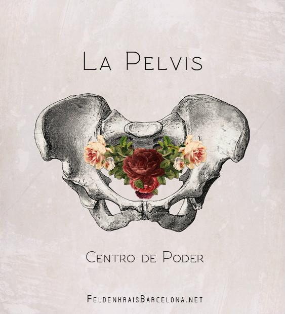 pelvis-..