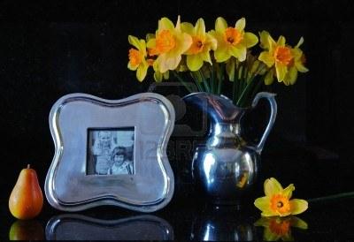 Decorar el Hogar con Narcisos