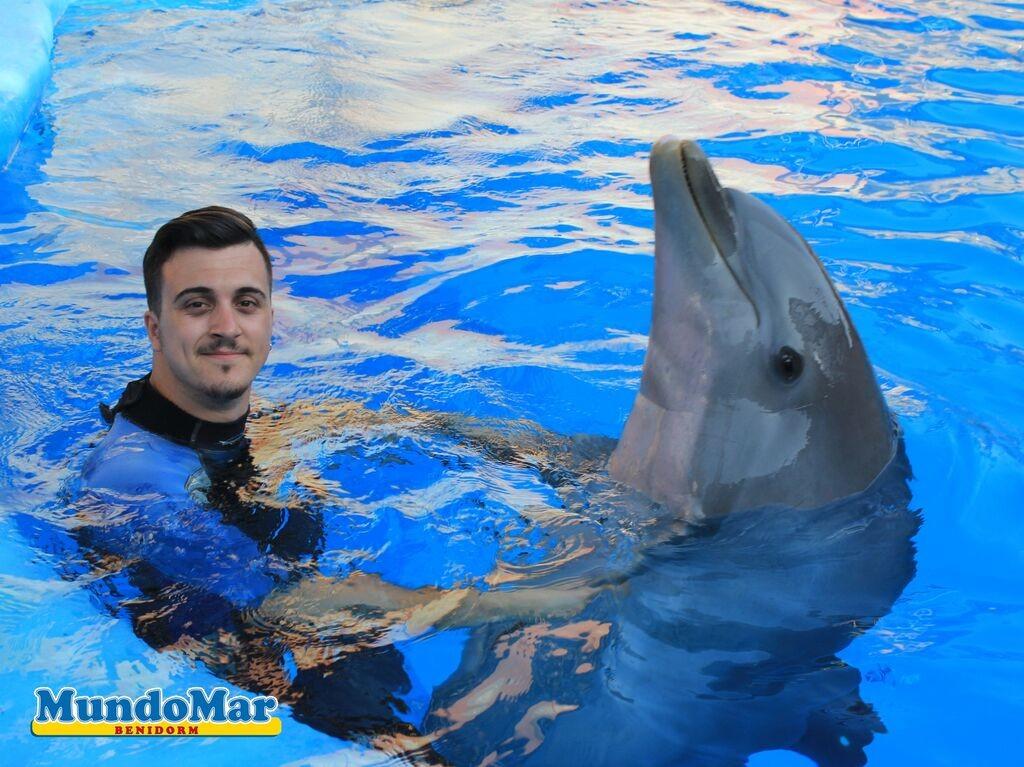 mHCQdj9DyR4D5AMTY91jIgBpRvFgNE6HFlp-18PCB9U