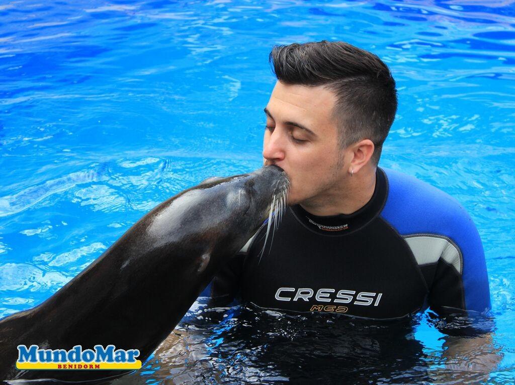 gBSQql1O0wzlnOQOTHiI3ElMqwhJCIWMlHTFFxb85iw