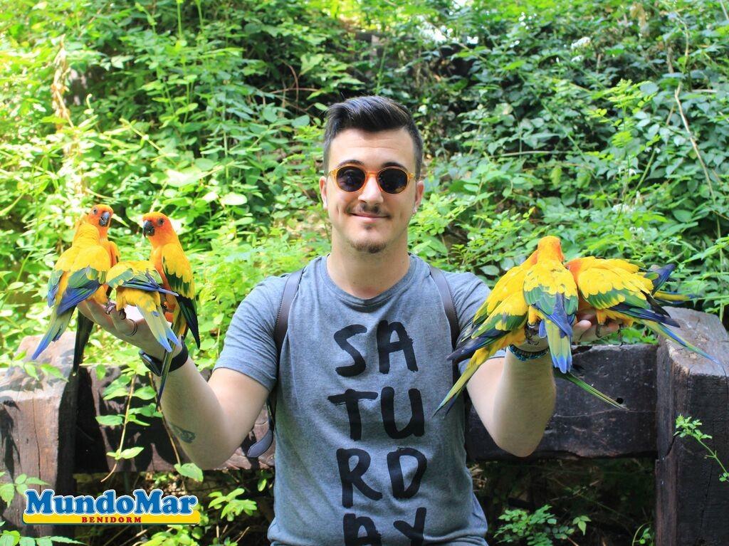 18dXXq0R3uU9lHG5yegbn5wntS4mC4Qyi0lMJ2XD4y4