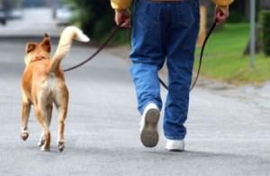 paseo