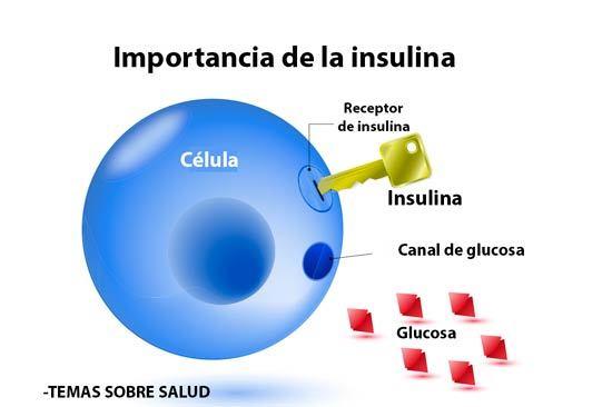 resistencia a la insulina