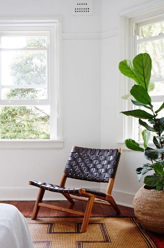 Ficus Lyrata: Todas las claves para decorar con esta maravillosa planta.