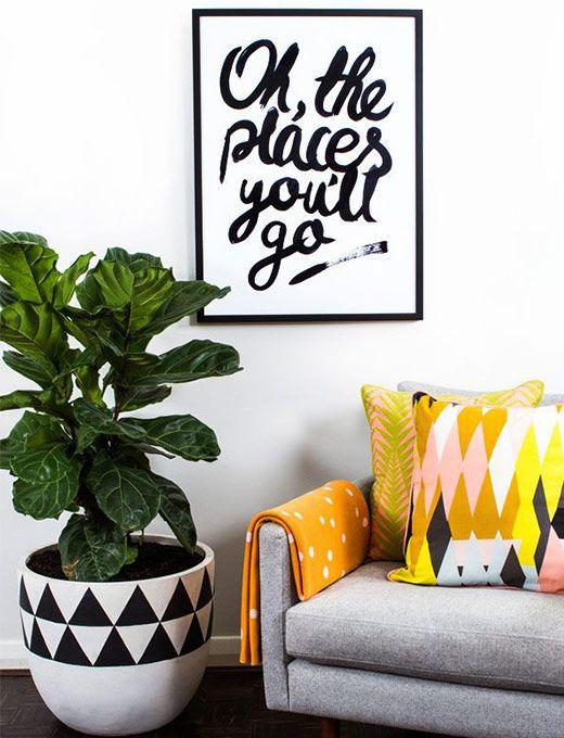 Ficus Lyrata: Todas las claves para decorar con esta maravillosa planta.