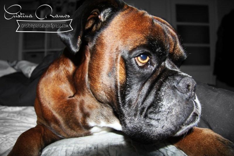 Paris 6º cumple-Recuperado paris blog