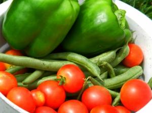 verduras frescas-defensas
