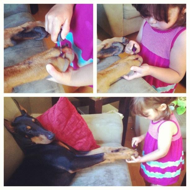 Cutie-y-la-bestia-perro-girl-seana-doberman-53