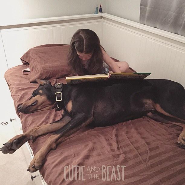 Cutie-y-la-bestia-perro-girl-seana-doberman-99