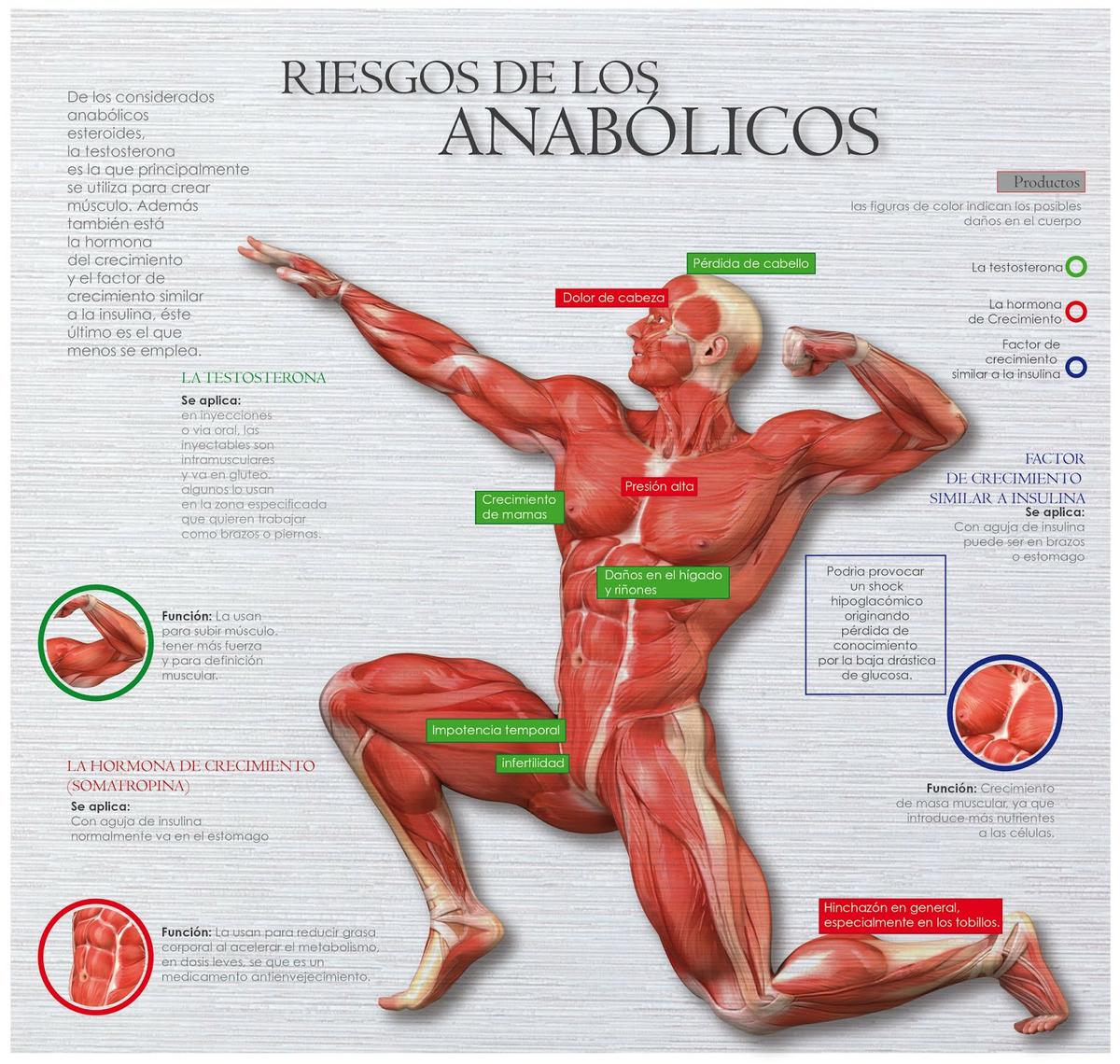 infografia efectos secundarios testosterona