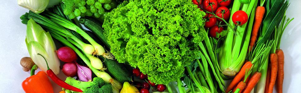 dieta vegetariana semana 1