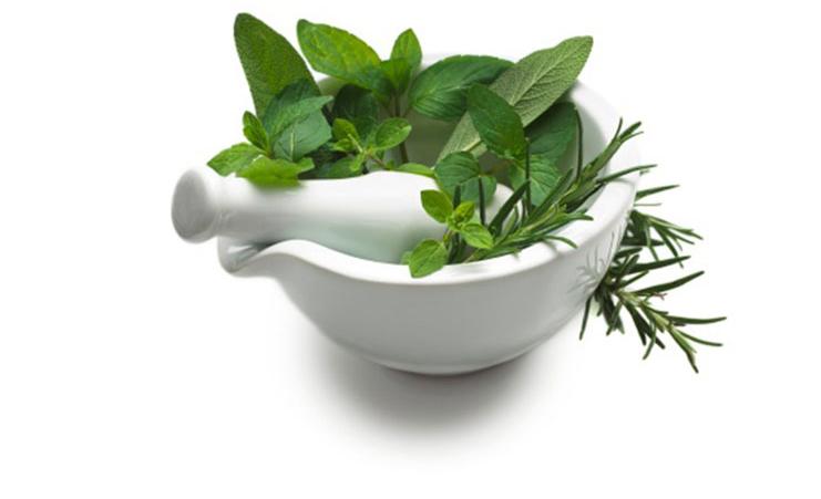 rosemary_sage