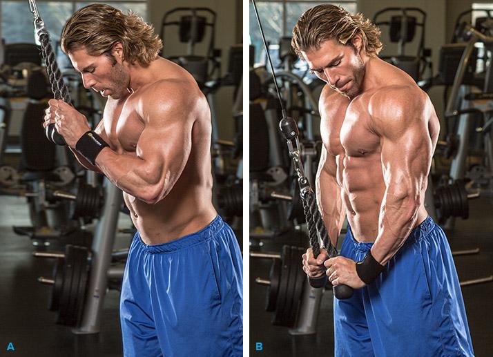 entrenamiento de tríceps