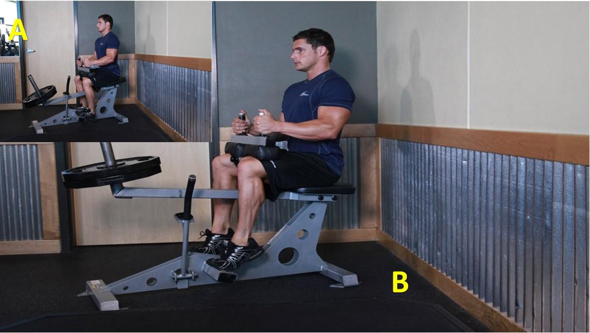 ELEVACION DE TALONES SENTADO