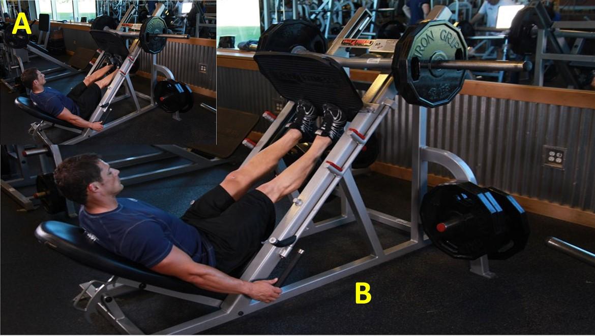 ELEVACION DE TALONES, PRENSA DE PIERNAS