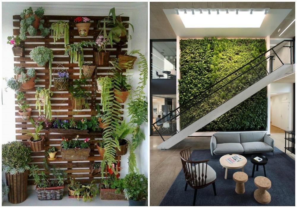 04-forrar-una-pared-con-jardin