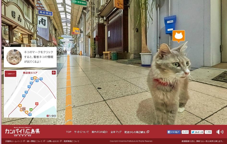Cat Street View 2