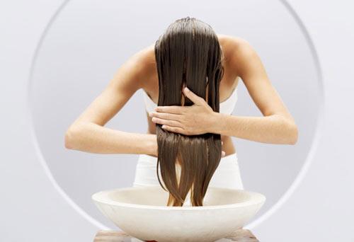 cola de caballo para el cabello