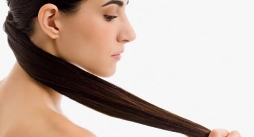 cola de caballo y el pelo
