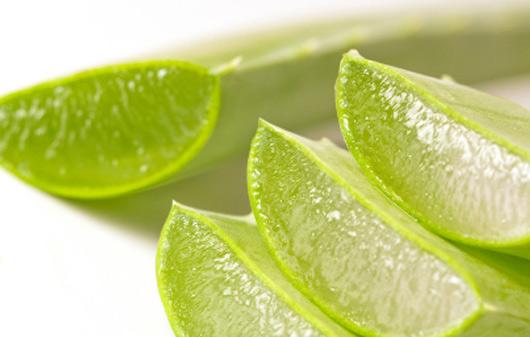 2 Aloe-Vera-beneficios-piel-grasa