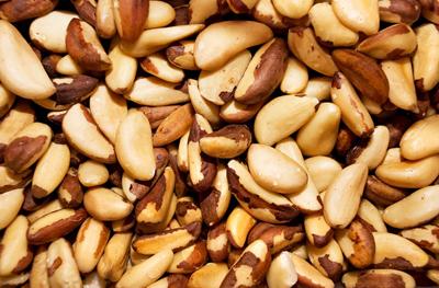 las nueces de brasil