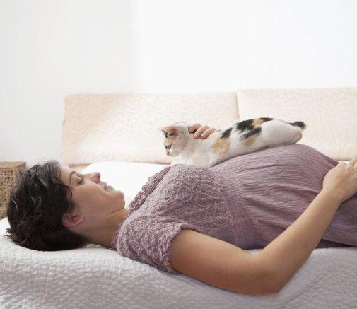 toxoplasmosis y embarazo
