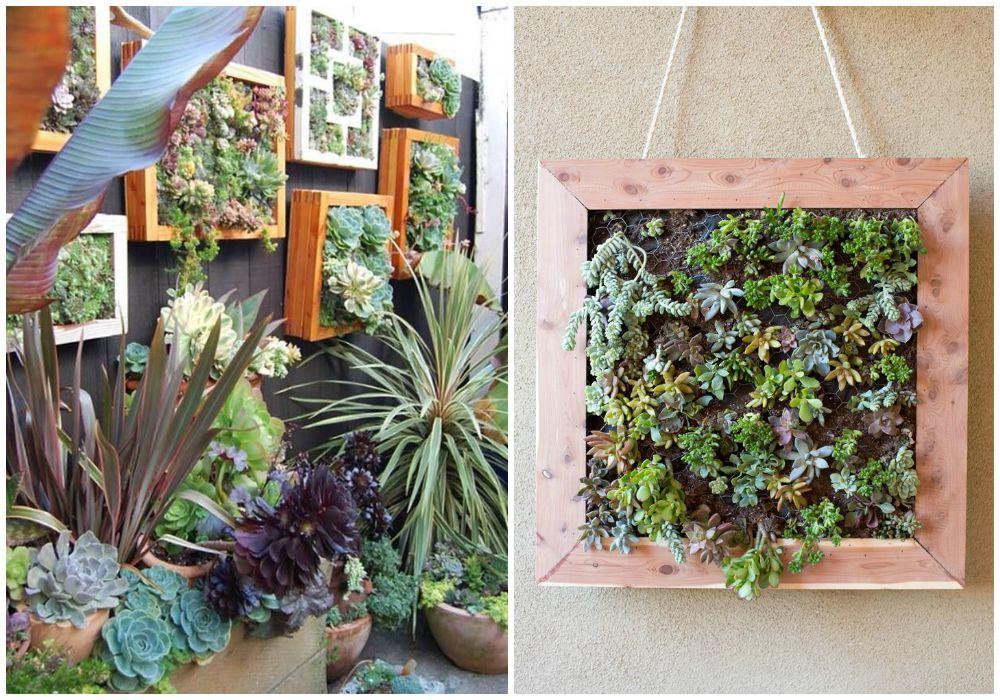 03-jardin-vertical-marcos