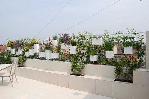 antes-despues-terraza