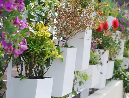 antes-despues-terraza