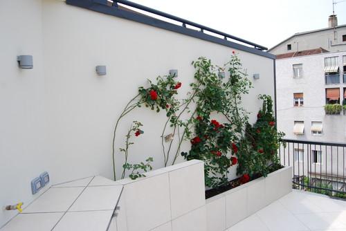 antes-despues-terraza