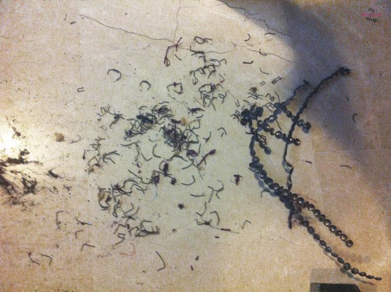 Spoiled Dog New Bed - Staples