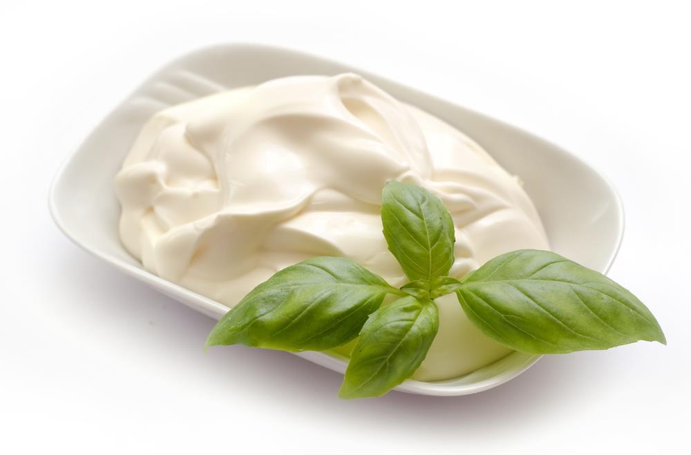 Consejos de dieta rápida para bajar de peso mayonesa