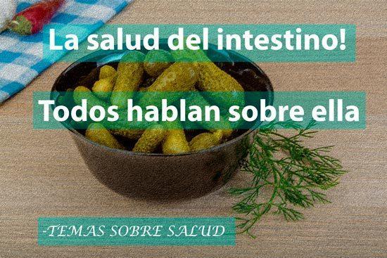 sistema inmunológico