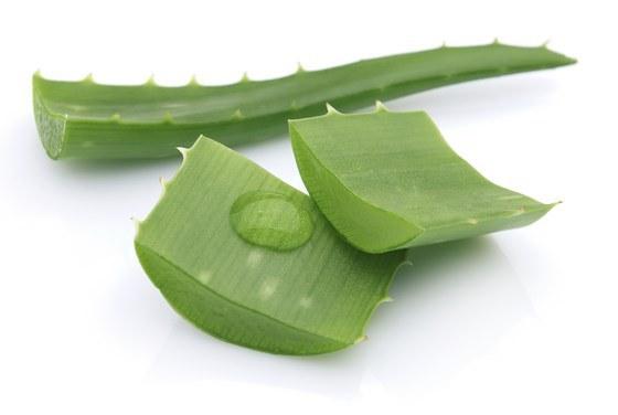 Aloe para las uñas