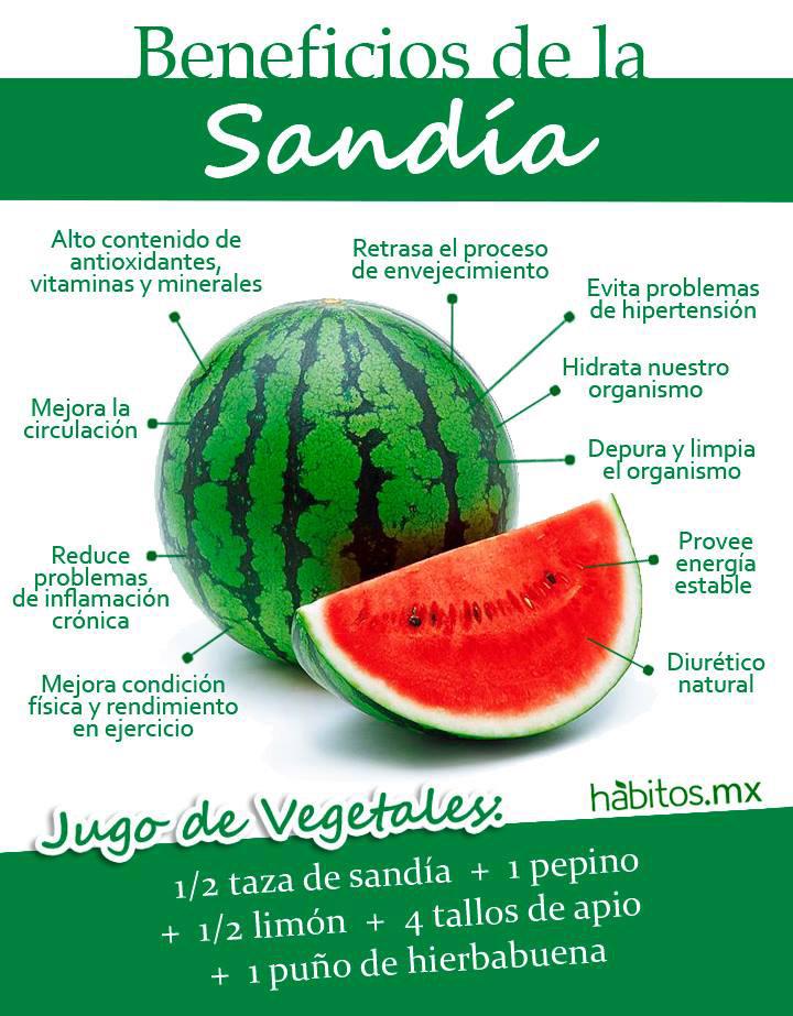 infografia de los beneficios de la patilla