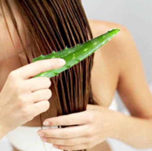 tratamiento-con-sabila-para-el-cabello